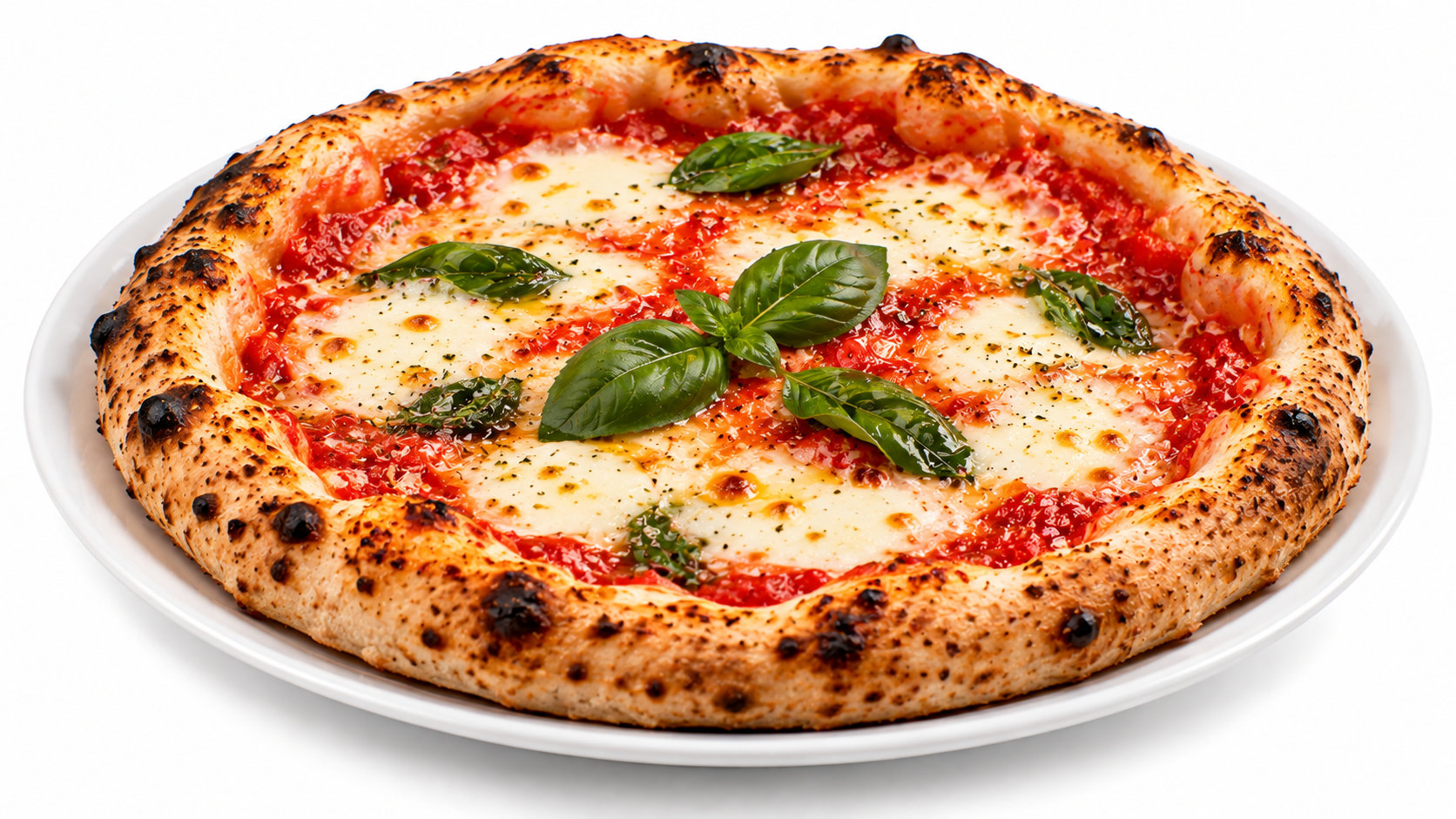 Pizza Margarita